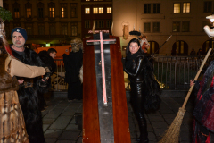 Photo by Sascha Fiala