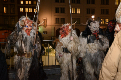 Photo by Sascha Fiala