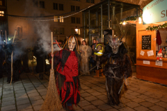 Photo by Sascha Fiala