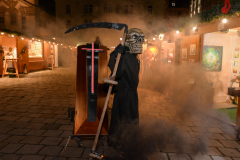 Photo by Sascha Fiala