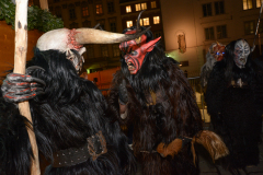 Photo by Sascha Fiala