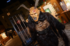 Photo by Sascha Fiala