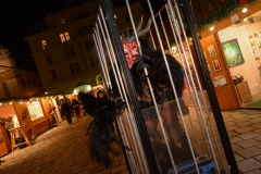 Photo by Sascha Fiala