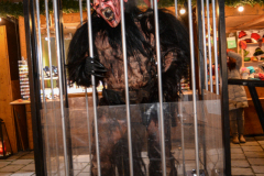 Photo by Sascha Fiala