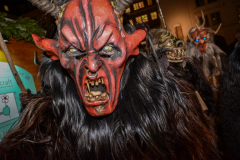 Photo by Sascha Fiala