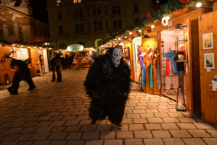 Photo by Sascha Fiala