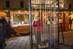 Photo by Sascha Fiala