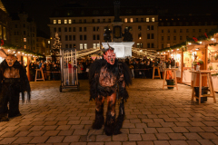 Photo by Sascha Fiala