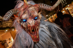 Photo by Sascha Fiala