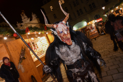 Photo by Sascha Fiala