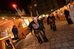 Photo by Sascha Fiala