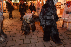 Photo by Sascha Fiala