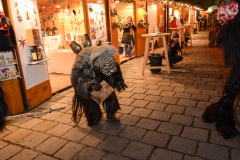 Photo by Sascha Fiala