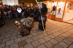 Photo by Sascha Fiala