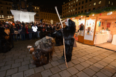 Photo by Sascha Fiala