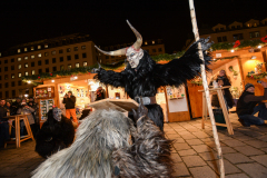 Photo by Sascha Fiala