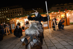 Photo by Sascha Fiala