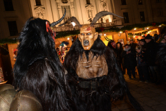 Photo by Sascha Fiala