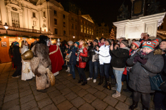 Photo by Sascha Fiala