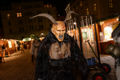 Photo by Sascha Fiala