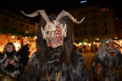 Photo by Sascha Fiala