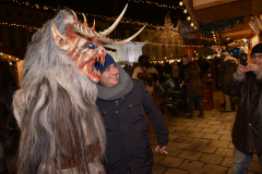 Photo by Sascha Fiala