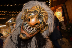 Photo by Sascha Fiala