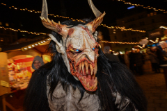 Photo by Sascha Fiala