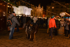 Photo by Sascha Fiala