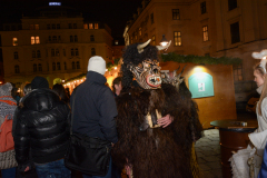 Photo by Sascha Fiala