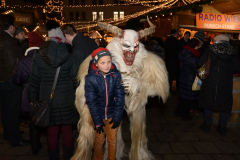 Photo by Sascha Fiala