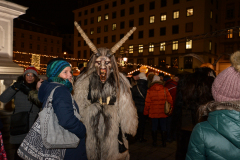 Photo by Sascha Fiala