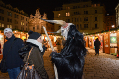 Photo by Sascha Fiala