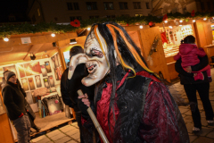 Photo by Sascha Fiala