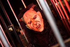 Photo by Sascha Fiala