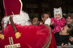 Photo by Sascha Fiala