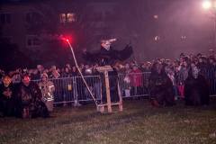 Photo by Sascha Fiala