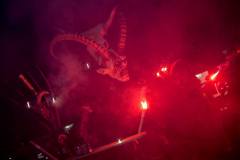 Photo by Sascha Fiala