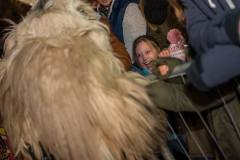 Photo by Sascha Fiala