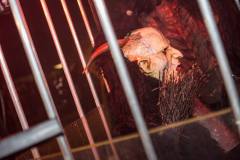 Photo by Sascha Fiala