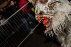 Photo by Sascha Fiala