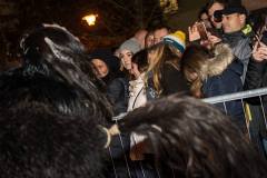 Photo by Sascha Fiala