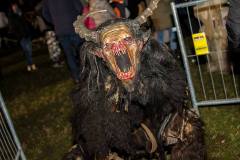 Photo by Sascha Fiala