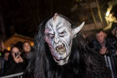 Photo by Sascha Fiala