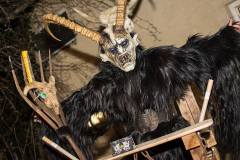 Photo by Sascha Fiala