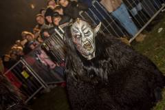 Photo by Sascha Fiala