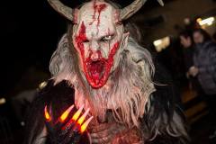 Photo by Sascha Fiala