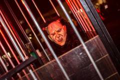 Photo by Sascha Fiala