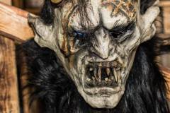 Photo by Sascha Fiala