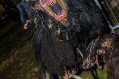 Photo by Sascha Fiala